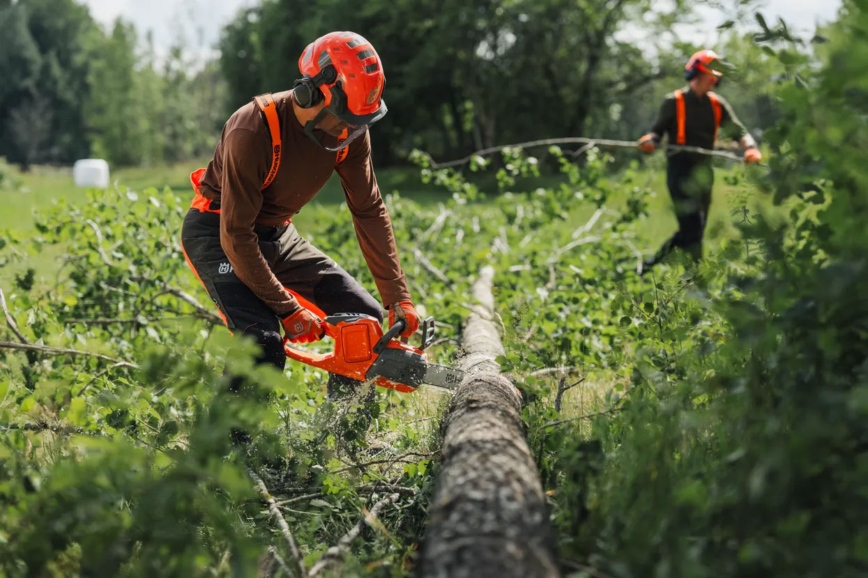 Husqvarna Accukettingzaag 435i met 36 cm zaagblad - Afbeelding 2