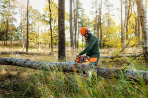 Husqvarna Accukettingzaag 435i met 36 cm zaagblad - Afbeelding 4