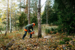 Husqvarna Accukettingzaag 435i met 36 cm zaagblad - Afbeelding 3