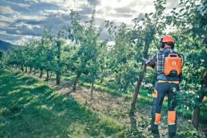 Husqvarna Accukettingzaag 535i XP® met 36 cm zaagblad - Afbeelding 3